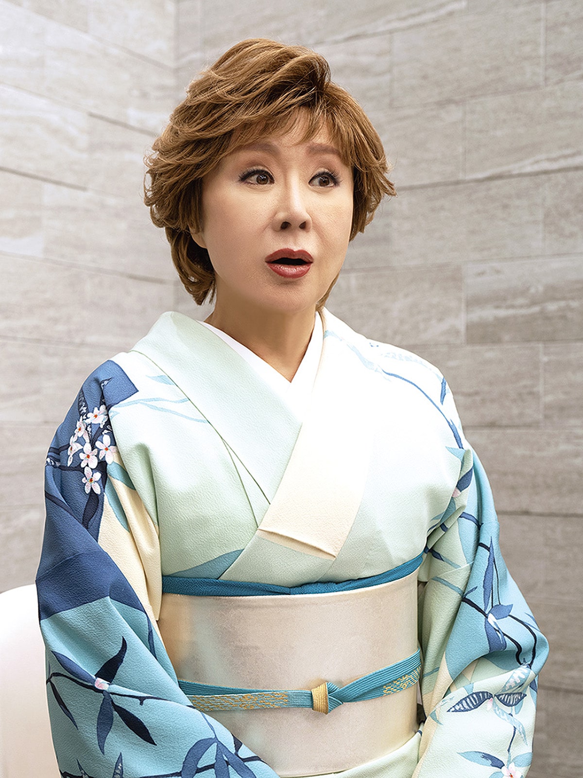 HMPA 연구에 관해 질문하는 고바야시 사치코